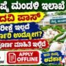 CSB Recruitment 2026